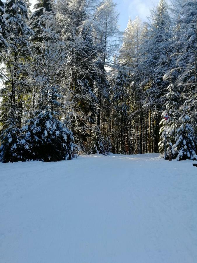 Rodinny Apartman Harrachov 606 Exteriör bild